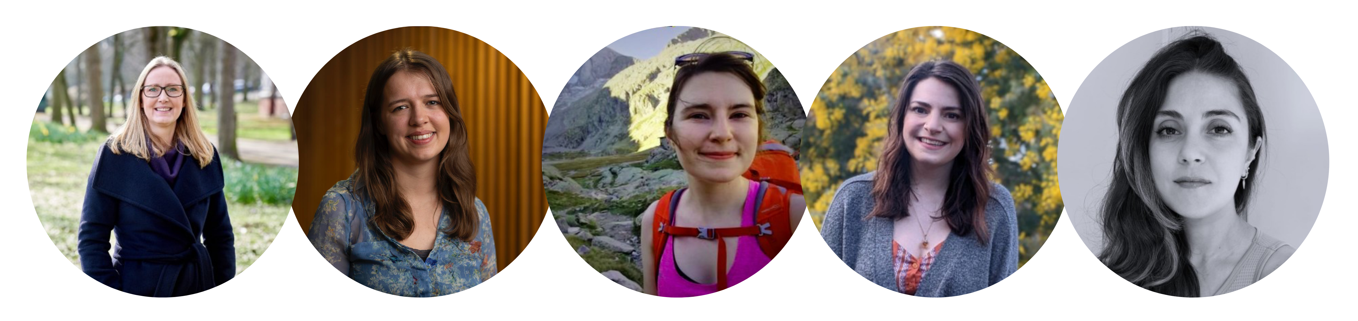 Safer Parks Dashboard research team